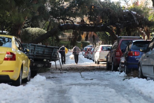 Δήμος Αθηναίων: Αποζημιώνει τους ιδιοκτήτες οχημάτων που υπέστησαν ζημιές από πτώσεις δέντρων