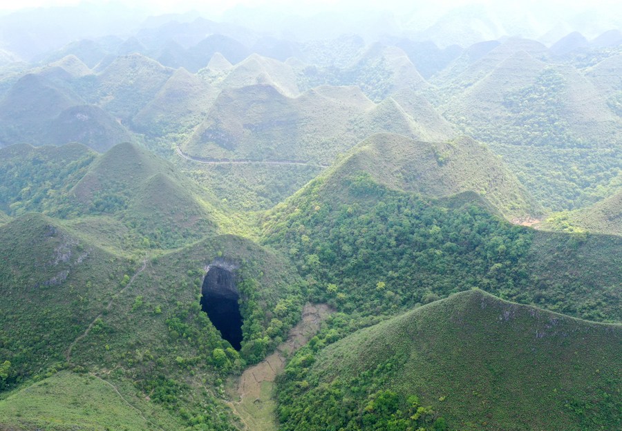 Κίνα: Εξωπραγματικό παρθένο δάσος κρυβόταν στα έγκατα της Γης