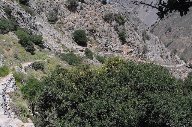 Σπάνιο φυσικό βοτανικό μονοπάτι στην Κρήτη