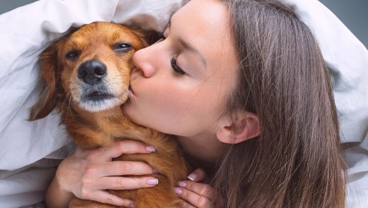 Πόσο επικίνδυνο είναι να φιλάμε τους σκύλους στο στόμα;