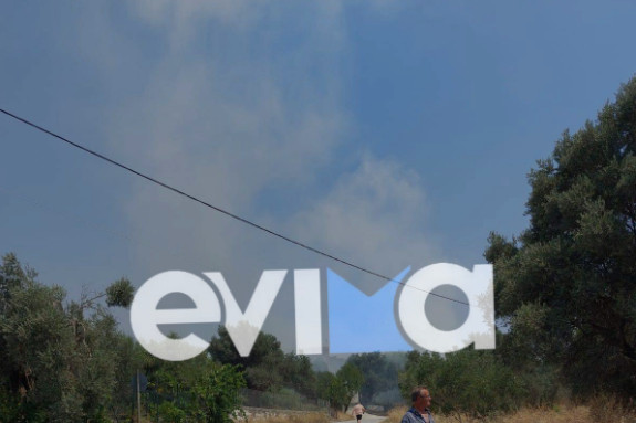 Φωτιά τώρα στο Αλιβέρι Ευβοίας: Οι πρώτες εικόνες