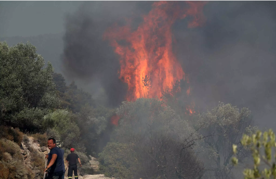 Φωτιά τώρα στη Μεσσηνία: Μεγάλη κινητοποίηση της πυροσβεστικής