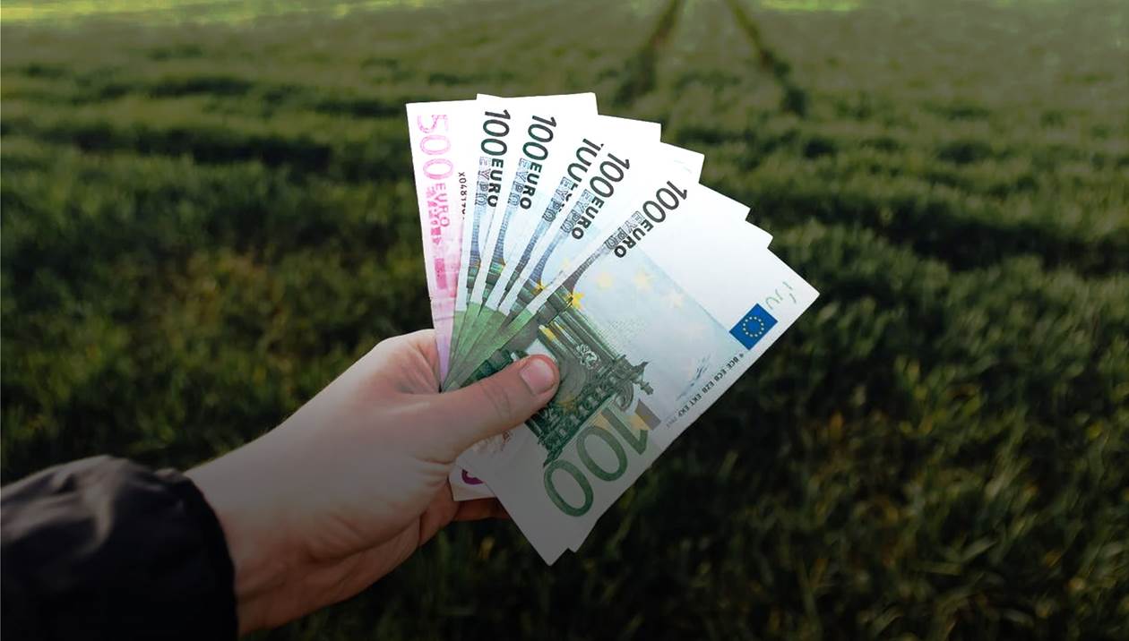 Σοκ στην Κρήτη με τη νέα ΚΑΠ: Λιγότερα χρήματα για αμπελουργούς, ελαιοπαραγωγούς και κτηνοτρόφους