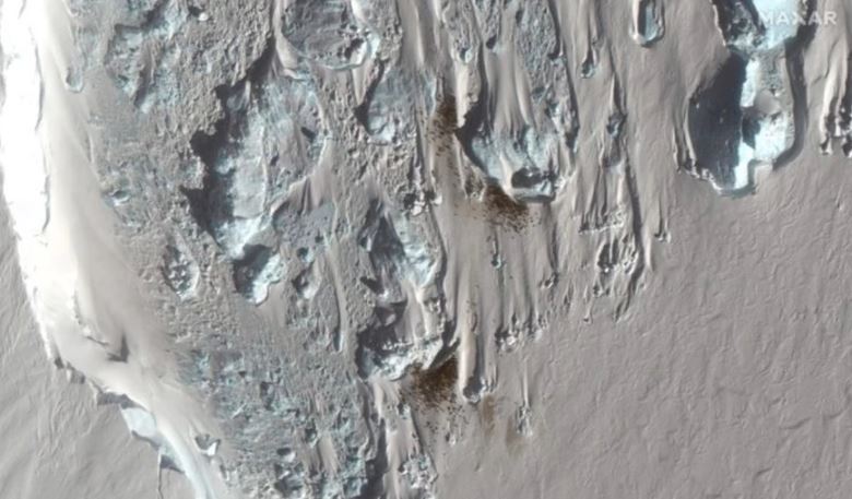 Δορυφορικές εικόνες αποκάλυψαν νέα αποικία αυτοκρατορικών πιγκουίνων στην Ανταρκτική