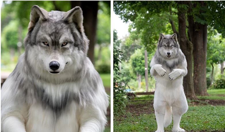 Viral: Έδωσε 23.000 δολάρια για γίνει λύκος που περπατάει στα δύο πόδια