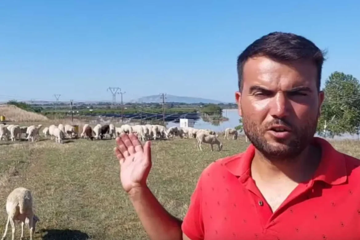Λάρισα: Σε απόγνωση κτηνοτρόφος που φοβάται ότι τα ζώα του θα πεθάνουν από την πείνα μετά την κακοκαιρία