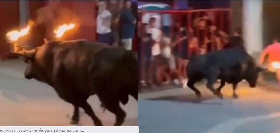 Η συγκλονιστική στιγμή που ταύρος με φωτιές στα κέρατα χτυπάει άνθρωπο που είχε απορροφηθεί στο κινητό του (vid)