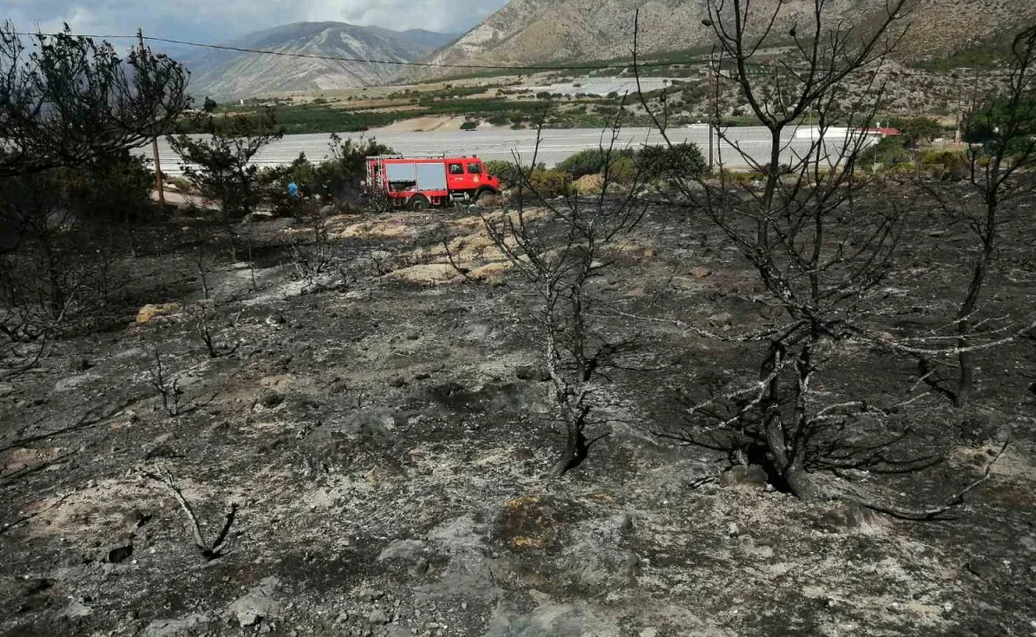 Χανιά: Φωτιά στο Ελαφονήσι κινητοποίησε την πυροσβεστική